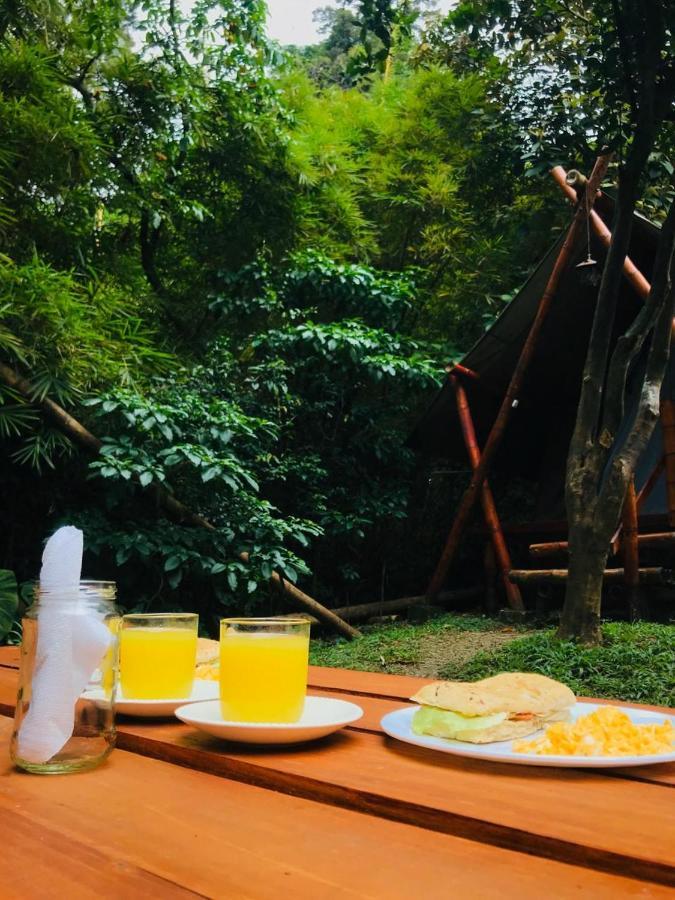 Bambu Glamping Ecolodge Medellín Exteriér fotografie