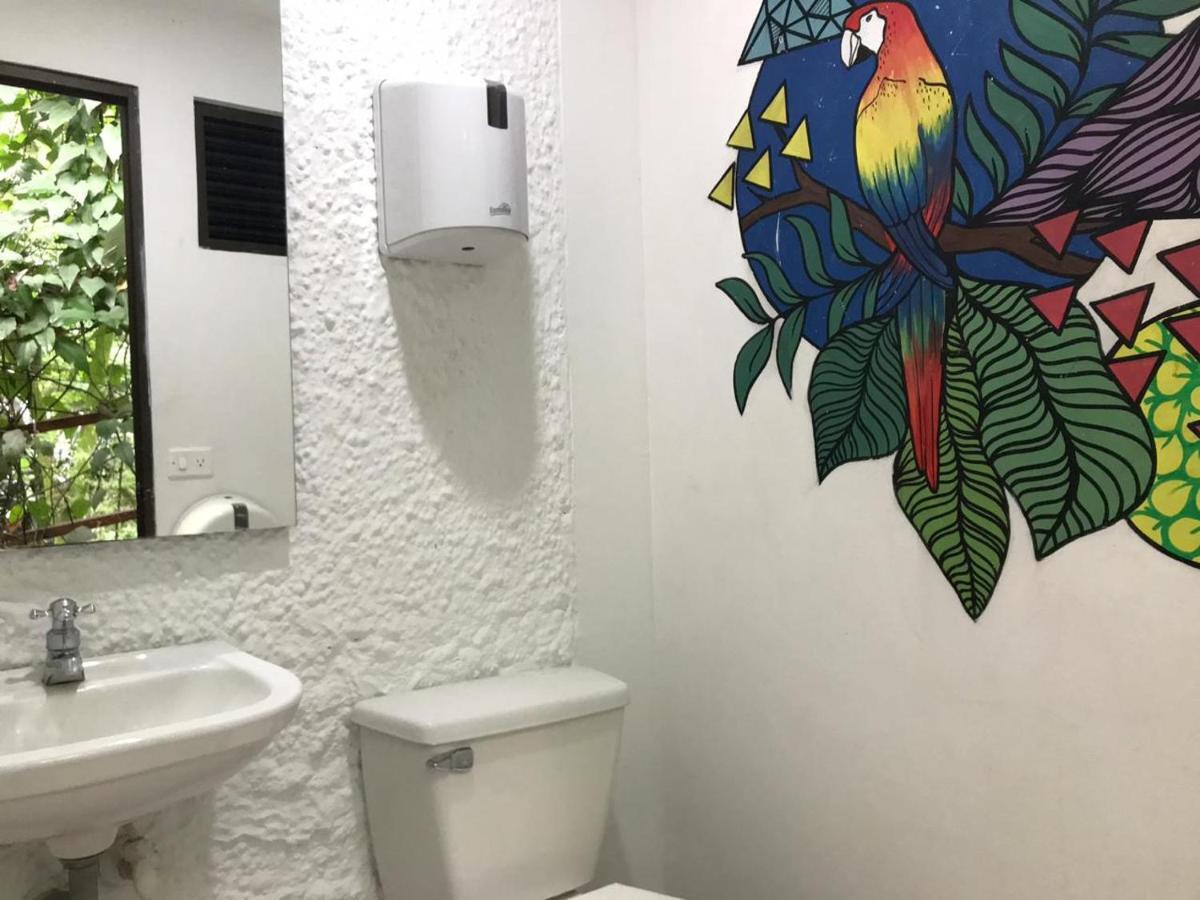 Bambu Glamping Ecolodge Medellín Exteriér fotografie