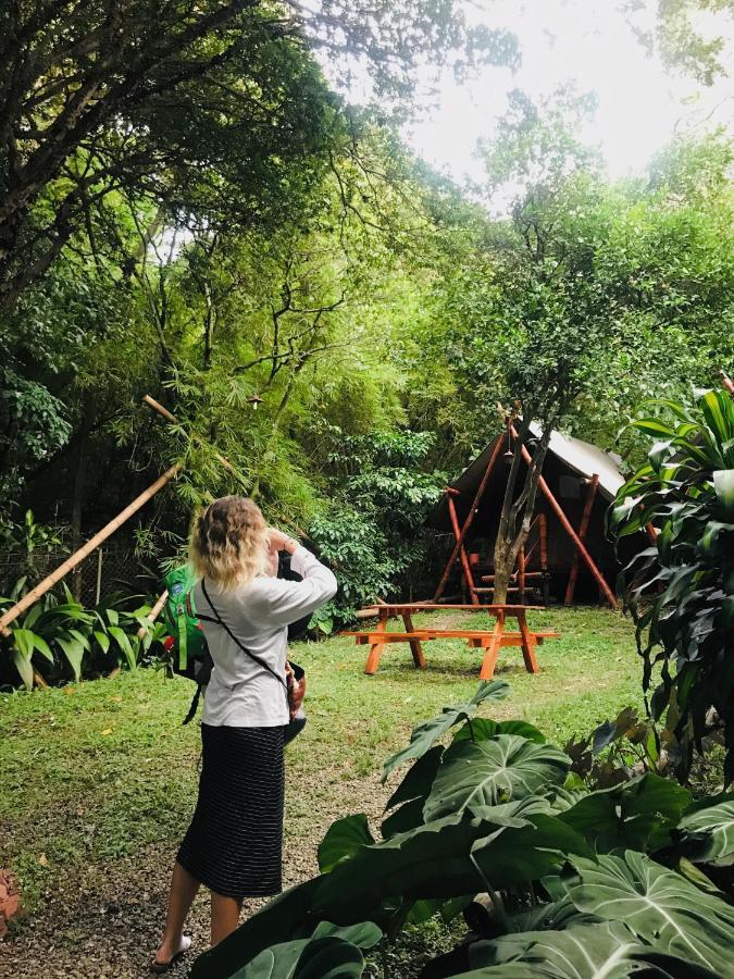 Bambu Glamping Ecolodge Medellín Exteriér fotografie